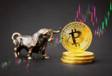 اندفاع ثيران البيتكوين مع كسر BTC للاتجاه الهبوطي؛ هل سنشهد ارتفاعاً قياسياً جديداً؟