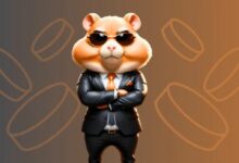 حمى العملات الرقمية: إدراج محتمل لـ Hamster Kombat على Binance وما يعنيه - اكتشف المزيد