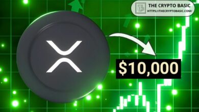 خبير يتوقع وصول XRP إلى 10,000 دولار استناداً إلى تصريحات نائب رئيس CBDC في Ripple