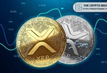 محلل خبير يكشف النطاق المثالي لسعر XRP لتحقيق أرباح ضخمة