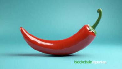 شراكة Chiliz Blockchain مع بروتوكول KAYEN لتحسين الربط، التبديل، التغليف وتوفير السيولة - اكتشف المزيد الآن