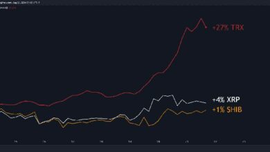 توقعات أسعار XRP و SHIB و TRX لهذا الأسبوع - اكتشف الآن!