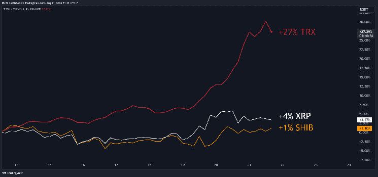 توقعات أسعار XRP و SHIB و TRX لهذا الأسبوع - اكتشف الآن!