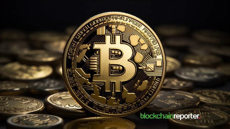 ارتفاع حجم تحويل البيتكوين مع استقرار السعر - اكتشف المزيد!