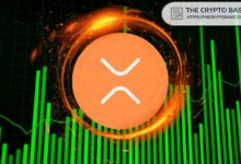 توقعات سعر XRP: إشارة 100 مليون XRP قد تدفع السعر إلى $0.65 - اكتشف الآن!