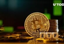 هل يراقب وارن بافيت صندوق بيتكوين ETF؟ نيت جيراسي يقول: لندعها تبدأ