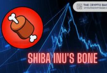 زعيم Shiba Inu تحت النار مع تراجع BONE بنسبة 68% - اكتشف التفاصيل!