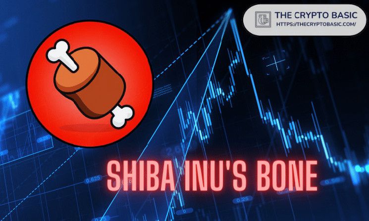 زعيم Shiba Inu تحت النار مع تراجع BONE بنسبة 68% - اكتشف التفاصيل!