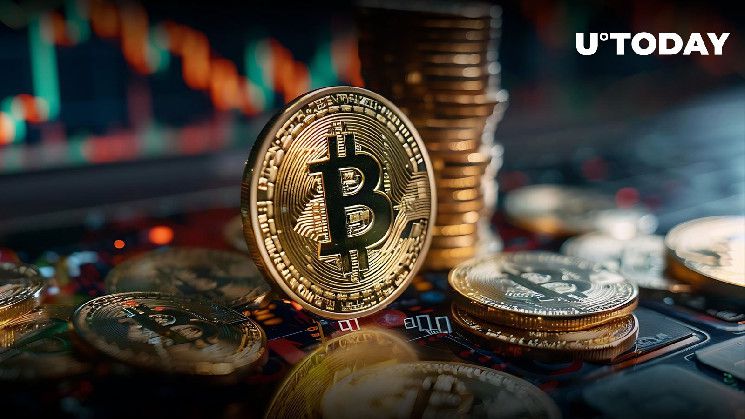 اختفاء 600 مليون دولار من البيتكوين مع تحول الحيتان إلى الاتجاه الهبوطي - اكتشف التفاصيل الآن!