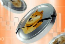 تحديات جديدة تواجه دوجكوين (DOGE) مع تجاوز تصفيات السوق 300 مليون دولار - اكتشف التفاصيل!