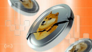 تحديات جديدة تواجه دوجكوين (DOGE) مع تجاوز تصفيات السوق 300 مليون دولار - اكتشف التفاصيل!