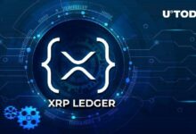 60.8 مليار XRP في عناوين XRP Ledger، 3 مقاييس رئيسية لمتابعتها الحين