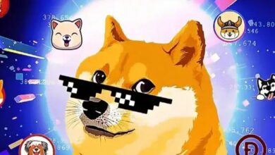 هل ستنخفض دوجكوين (DOGE) بنسبة 40٪؟ اكتشف تحليل هذا الخبير الآن