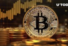 133,300 BTC يشتريها كبار حاملي البيتكوين: التفاصيل