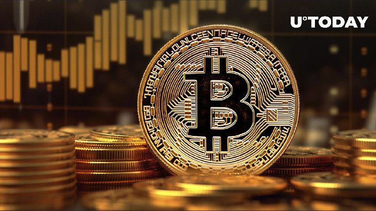 133,300 BTC يشتريها كبار حاملي البيتكوين: التفاصيل