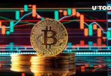 بيتكوين (BTC) تحقق أرقامًا قياسية جديدة خلال الهبوط الأخير، البيانات تشير!