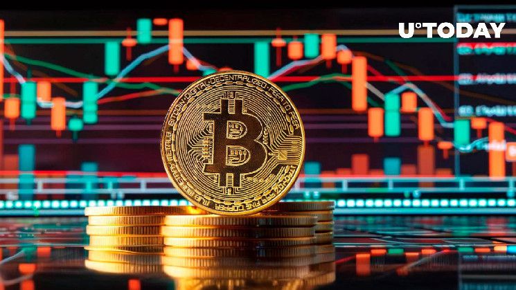 بيتكوين (BTC) تحقق أرقامًا قياسية جديدة خلال الهبوط الأخير، البيانات تشير!