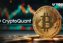 معدل التجزئة لبيتكوين (BTC) يقترب من أعلى مستوى تاريخي، وفقاً لـCryptoQuant - اكتشف التفاصيل!