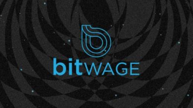 4500 شركة تدفع رواتب موظفيها بالبيتكوين عبر Bitwage - اكتشف المزيد الآن!