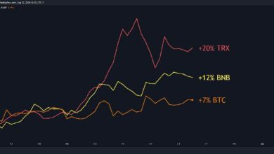 توقعات سعر BTC وBNB وTRX لهذا الأسبوع - اكتشف الآن!