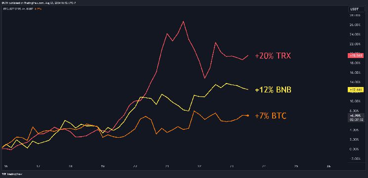 توقعات سعر BTC وBNB وTRX لهذا الأسبوع - اكتشف الآن!