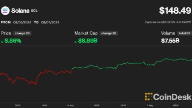 سولانا تصل إلى أعلى مستوى لها مقابل إيثر، تتفوق على بيتكوين في انتعاش العملات المشفرة - تعرف على التفاصيل