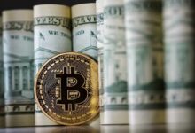 الخبير الشهير: "الدولار" هو الفقاعة الحقيقية، أعلن هدف بيتكوين (BTC) لنهاية 2024! اقرأ التفاصيل الآن!