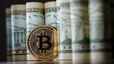 الخبير الشهير: "الدولار" هو الفقاعة الحقيقية، أعلن هدف بيتكوين (BTC) لنهاية 2024! اقرأ التفاصيل الآن!