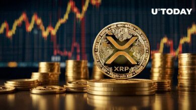 توقع بارتفاع سعر XRP بنسبة 70% بحلول الخريف، إذا تكررت الأنماط التاريخية!