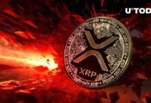 24.2 مليون XRP في 24 ساعة، ماذا يحدث؟