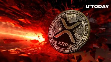 24.2 مليون XRP في 24 ساعة، ماذا يحدث؟