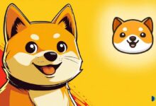 BabyDogeCoin تطلق قناة BabyDogeKids على YouTube لمحتوى تعليمي للأطفال - شاهد الآن!