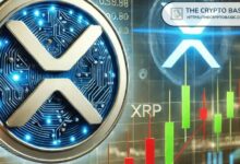 محلل يتوقع ارتفاع XRP إلى 44 دولار وتفوق على بيتكوين بزيادة سعر 7,257% - اكتشف الآن!