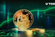 دوجكوين (DOGE) يُفجر الرسوم البيانية بمقاييس متعددة