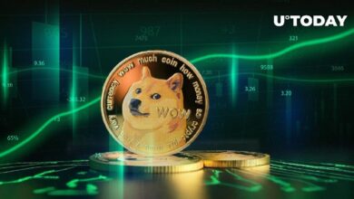 دوجكوين (DOGE) يُفجر الرسوم البيانية بمقاييس متعددة