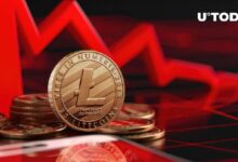 هل انتهى عصر عملة لايتكوين (LTC) المخضرم؟ نظرة قاتمة على بيانات السوق - اكتشف الآن!