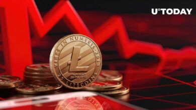 هل انتهى عصر عملة لايتكوين (LTC) المخضرم؟ نظرة قاتمة على بيانات السوق - اكتشف الآن!