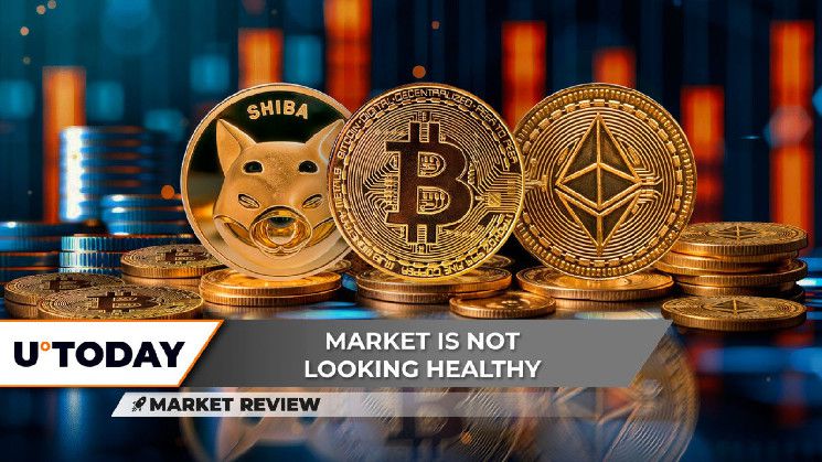 شيبا إينو (SHIB): ماذا يجري؟ هل مقاومة بيتكوين (BTC) لا تُكسر؟ إيثريوم (ETH) على وشك أزمة جوهرية؟