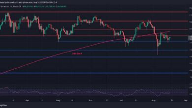 تحليل سعر البيتكوين: مستويان حاسمان لمراقبتهما على المدى القصير