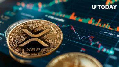 58 مليون XRP في 13 ساعة - ماذا يحدث؟