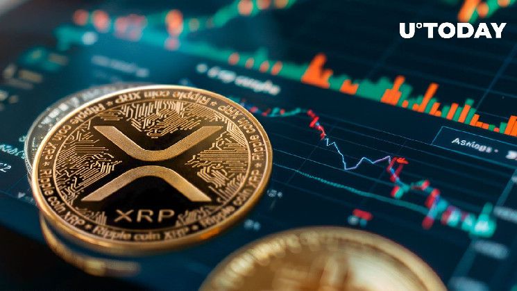 58 مليون XRP في 13 ساعة - ماذا يحدث؟