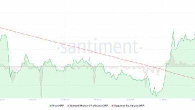 هل سينخفض سعر XRP؟ المتداولون يحصدون أرباحاً بقيمة 8.25 مليون دولار