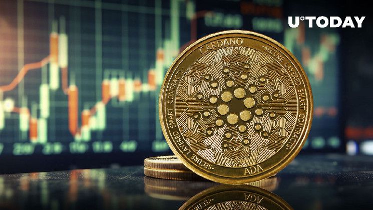 كاردانو ترتفع بنسبة 68% في حجم التداول بينما يرتفع سعر ADA اخيراً - اكتشف الآن!