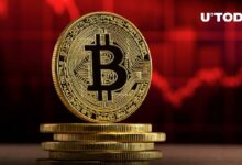 البيتكوين (BTC): عودة الخوف الشديد بعد التراجع الأخير في السعر