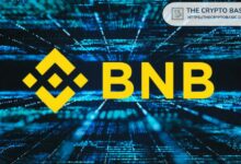 عملة بينانس (BNB) تتجاوز 500 دولار، تحقق حلم الصعود إلى 700 دولار