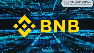 عملة بينانس (BNB) تتجاوز 500 دولار، تحقق حلم الصعود إلى 700 دولار