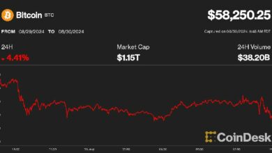 انخفاض البيتكوين إلى 58 ألف دولار وسط حركة متذبذبة، لكن الأسبوع القادم قد يحمل مفاجآت إيجابية