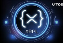 قد تكون منصة XRP Ledger من ريبل الأكثر إثارة في عالم العملات الرقمية حالياً - اكتشف المزيد!