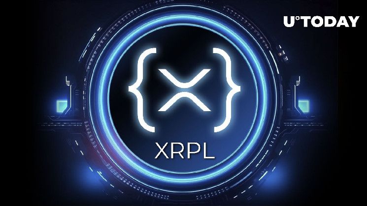 قد تكون منصة XRP Ledger من ريبل الأكثر إثارة في عالم العملات الرقمية حالياً - اكتشف المزيد!