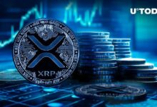 توقعات خبير: XRP على وشك انطلاقة ضخمة - اكتشف المزيد